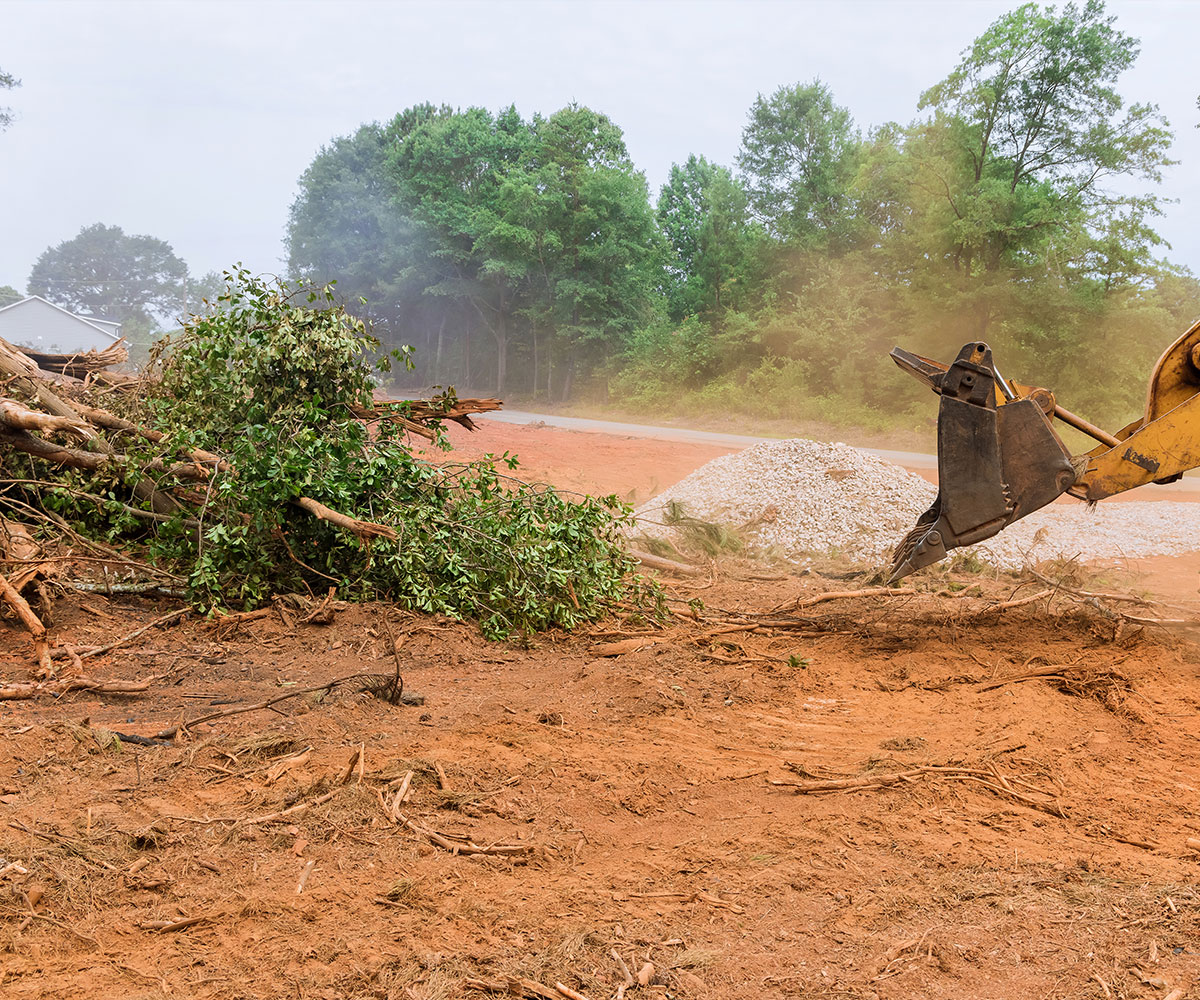 Tree and Land Clearing Services