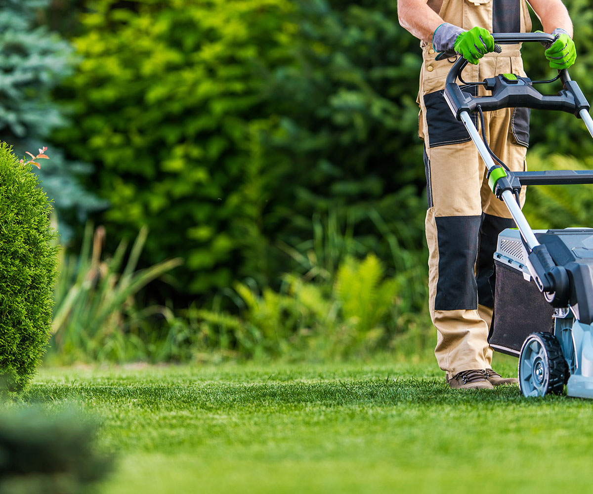 Lawn Maintenance