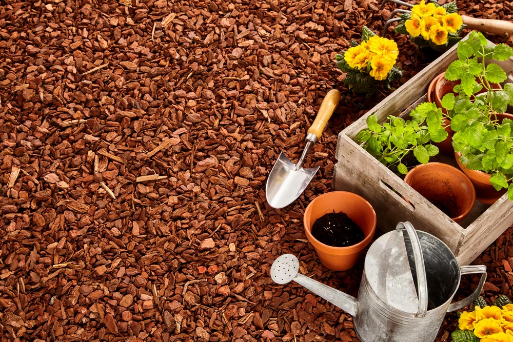 Garden With Mulch And Gardening Tools