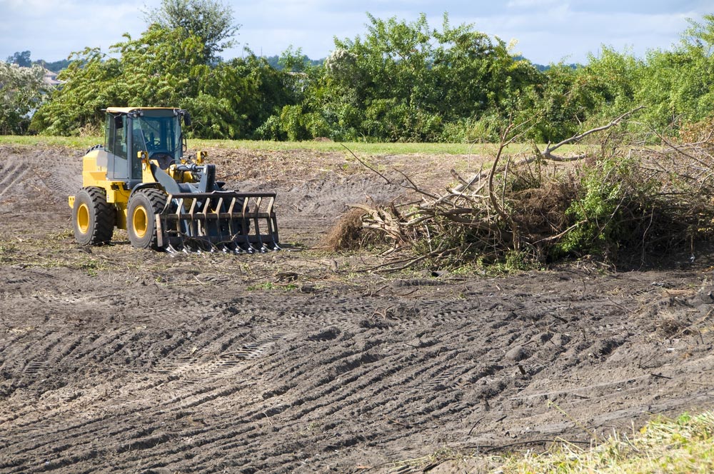 Loader Clearing A Land